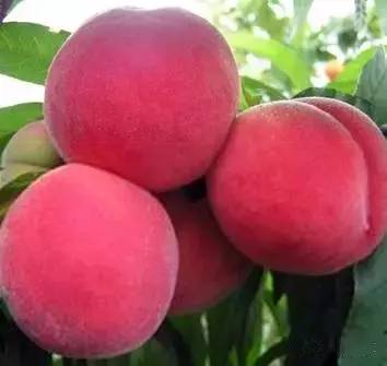 美国伦理片 将角色置于极端或两难情境中