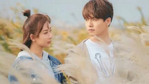 BT天堂网在线WWW中文 天堂它总能换个域名重新出现