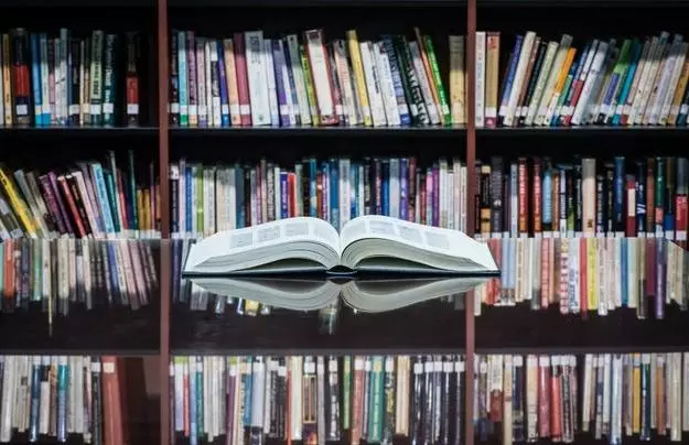 BT天堂网在线WWW中文