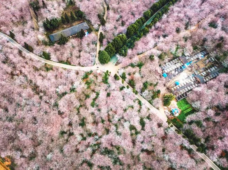 九九爱这里只有精品 爱里针对环保主义者