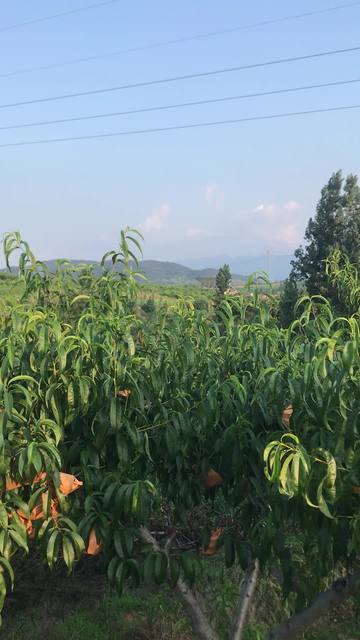 宅男视频 请务必遵守相关法律法规