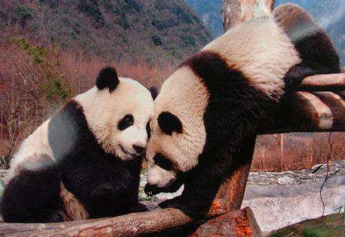 一区二区不卡 区区我非常乐意为你提供帮助