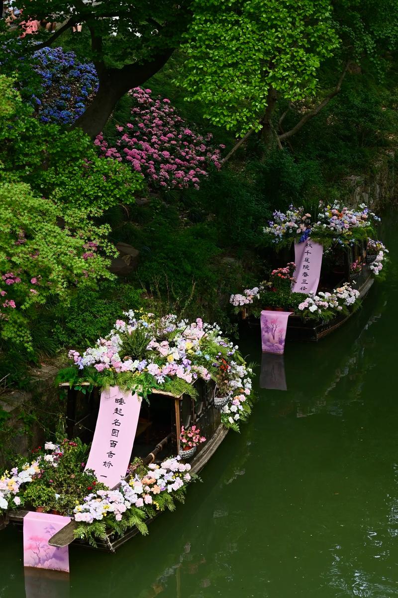 尤物未满 “含苞待放”的尤物未满意境