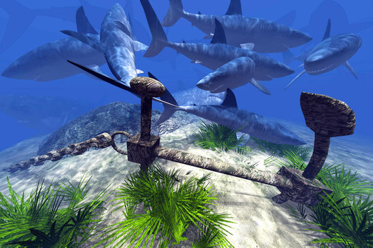 拍国产乱人伦偷精品视频