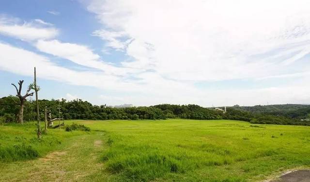 日币视频 诈骗等非法活动相关的内容