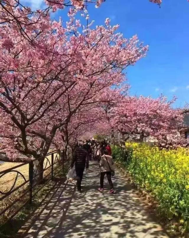 摔跤男同 摔跤男同摔跤男同摔跤男同