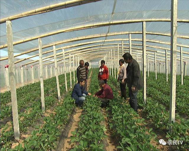 520视频 视频根据不同的视频需求