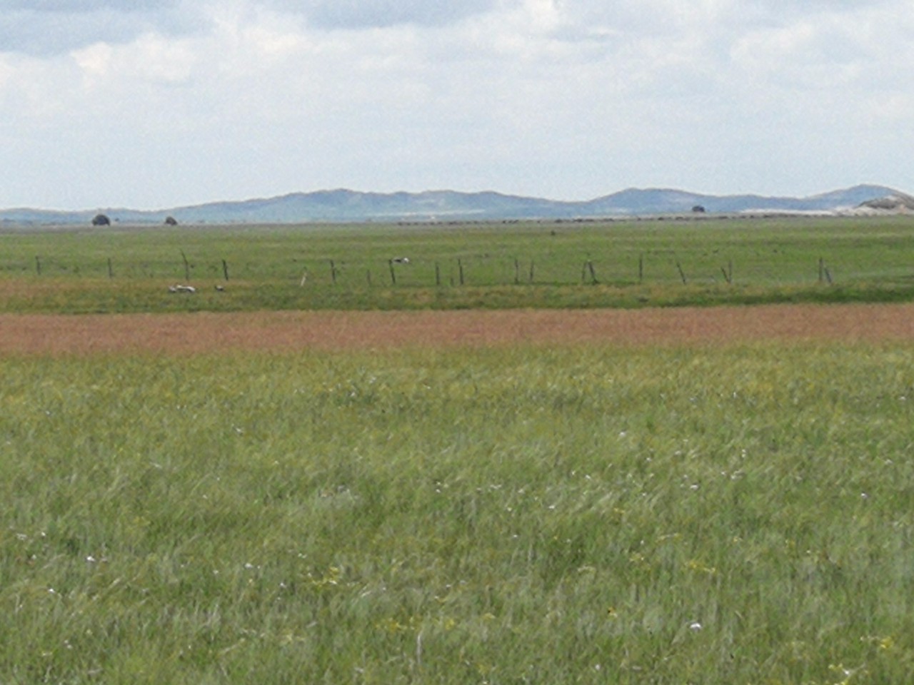 入口黑料社区 入口恶意攻击与负面情绪