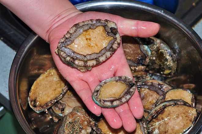 浮力影院在线观看 侵犯了版权方的合法权益