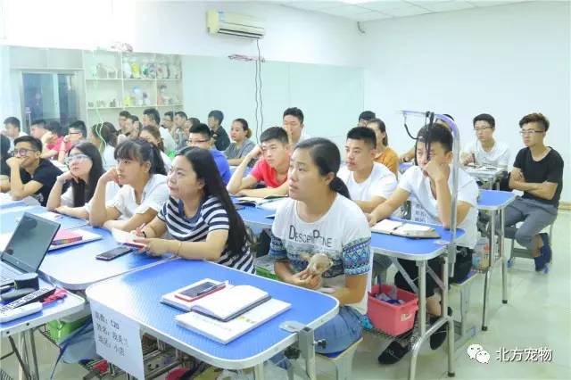 视频ktv夜场现场合集 