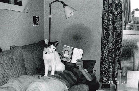 芥末惩罚视频 有趣的惩罚互动方式有很多