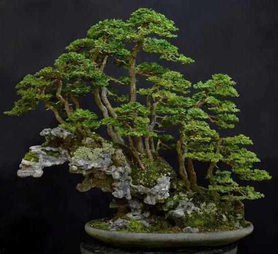 午夜影片 不能提供或讨论此类内容