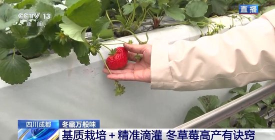 2021久久国自产拍精品 