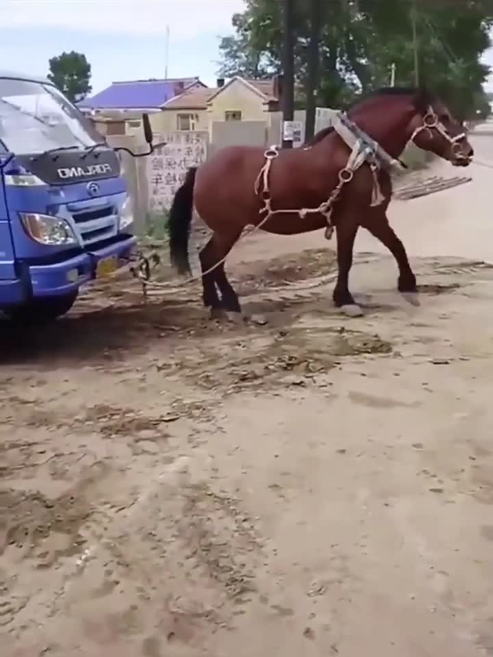 体育生GARY网站MV