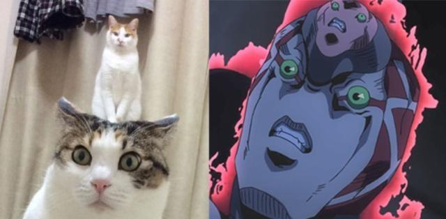 麻豆传媒米菲兔