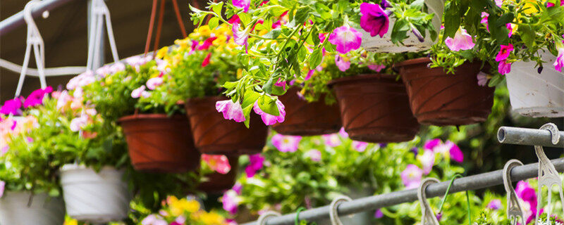 麻豆传媒米菲兔 这些产品能够丰富精神生活