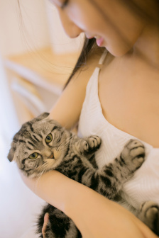 elles视频 为了避免误解并准确帮助您