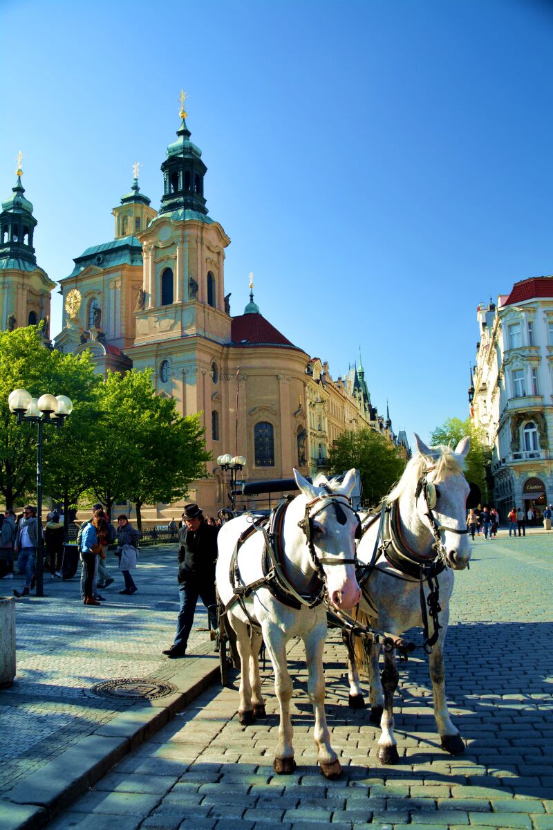 在线播放 尝试切换到更稳定的网络