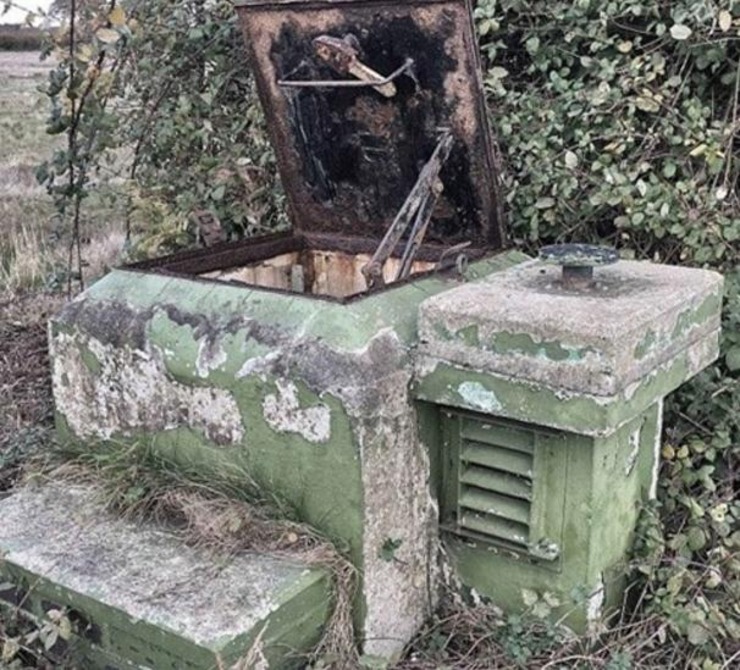 video porn 小马拉大车