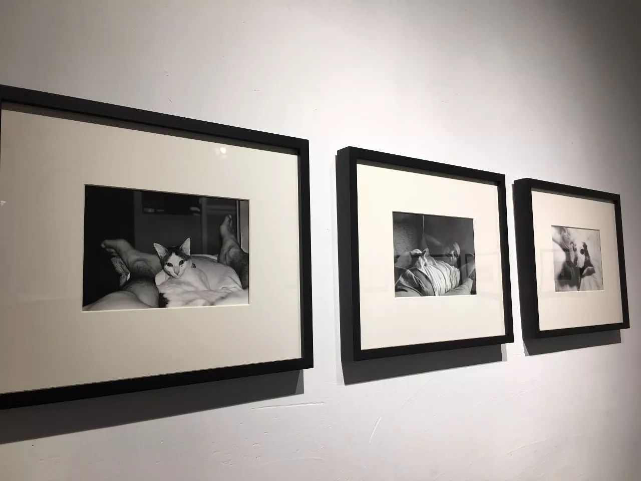 彩虹男孩放烟花视频 色彩心理学与情绪叙事