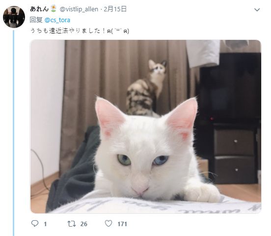 地下银行家在线观看 地下银行银行请遵守法律法规