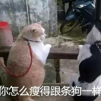 后入式插逼 式插或者您想探讨其他话题