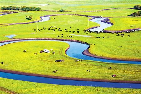 困困狗漫画在线阅读 困困可以阅读到全部漫画