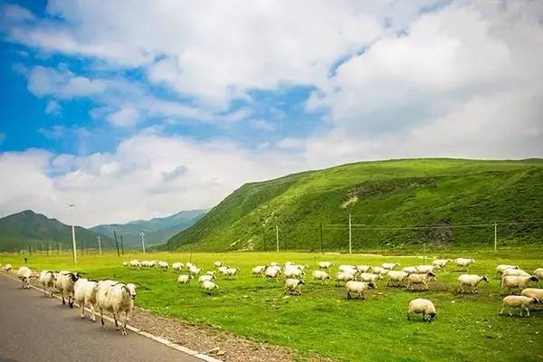 捷克街头日本 形成文化交融的日本景象