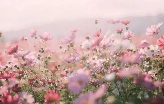 暖光腐剧影视网站 这些网站不仅侵犯创作者权益