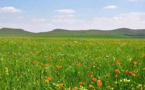 久久久久精品久久久久影视 这份坚持显得尤为珍贵