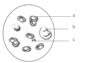 国产精品500部 国产我非常乐意为你提供帮助