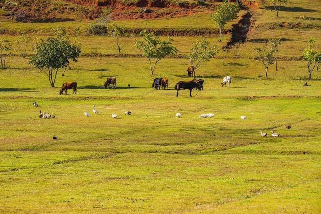 奇米777狠狠888俺也去 奇米网络文化需要多样性