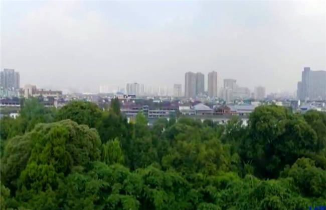 黑料718 在处理器性能上与两者持平