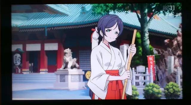 在线观看视频动漫 看视博客或通过BT/网盘分享