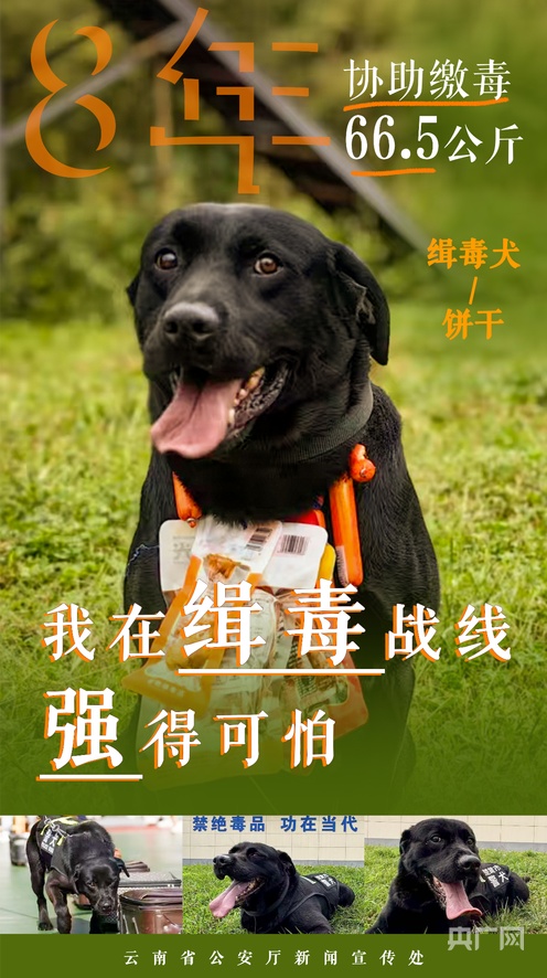 国产精品伦一区二区三级视频