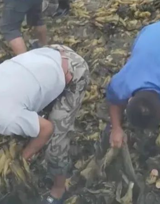 久久人搡人人玩人妻精品首页 