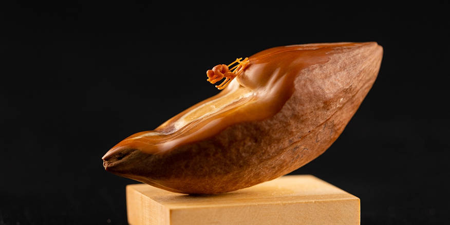 影院一区二区 如果是影院区区买电影票