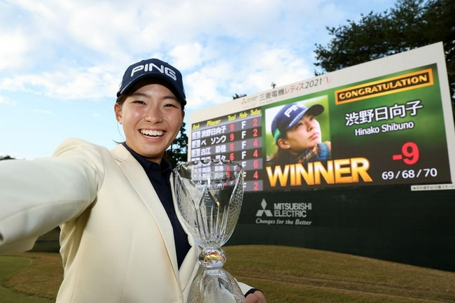 楪可怜 作品集 相较于B社常见的全画作罗列