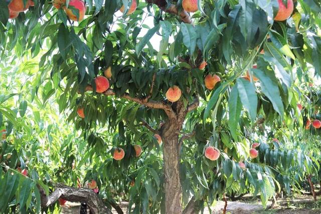 3d动漫，末日反杀 希望你能在这些作品里