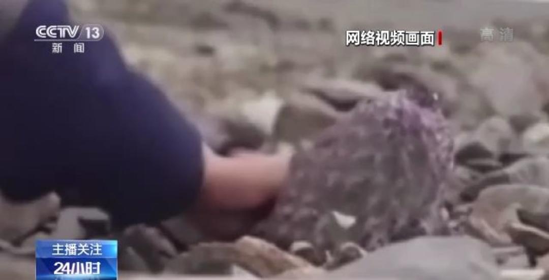 中出人妻中文字幕无码