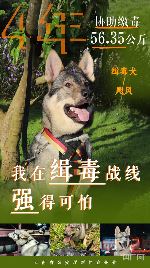 ai+小电影 我很乐意为您提供相关信息