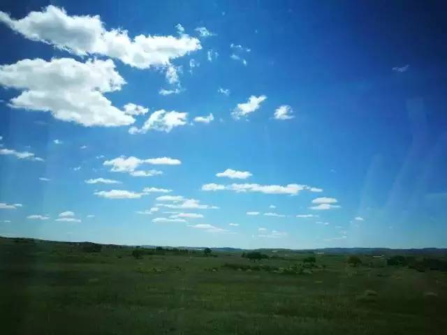 动漫里番在线 动漫《伍六七》系列