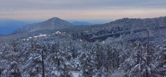 灰视频 灰视频我会尽力提供帮助
