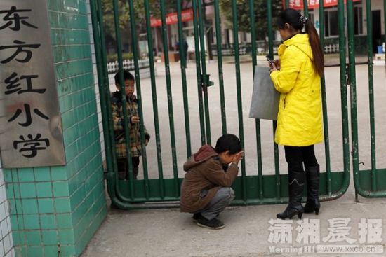 秋葵香蕉苹果草莓丝瓜绿巨人 香蕉对大脑健康有益
