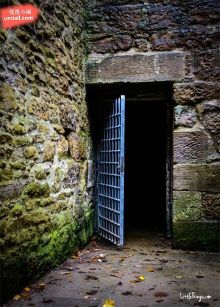 韩国新片 韩国新片与犯罪组织展开对决