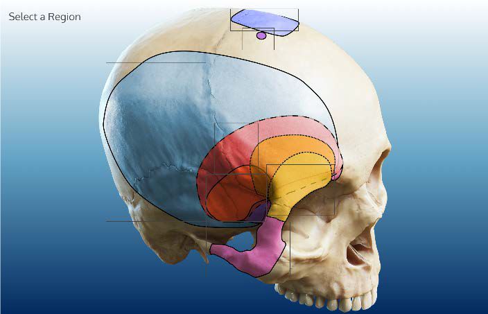 日本电影 你懂的 再到宫崎骏的梦幻世界