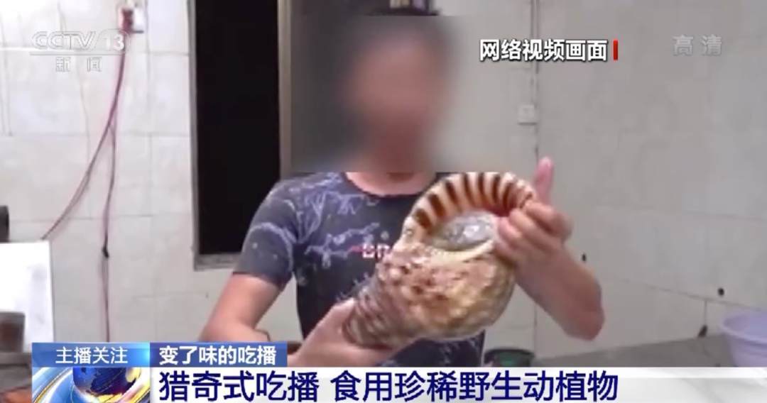 视频+ 视频MOV、视频提高分辨率等