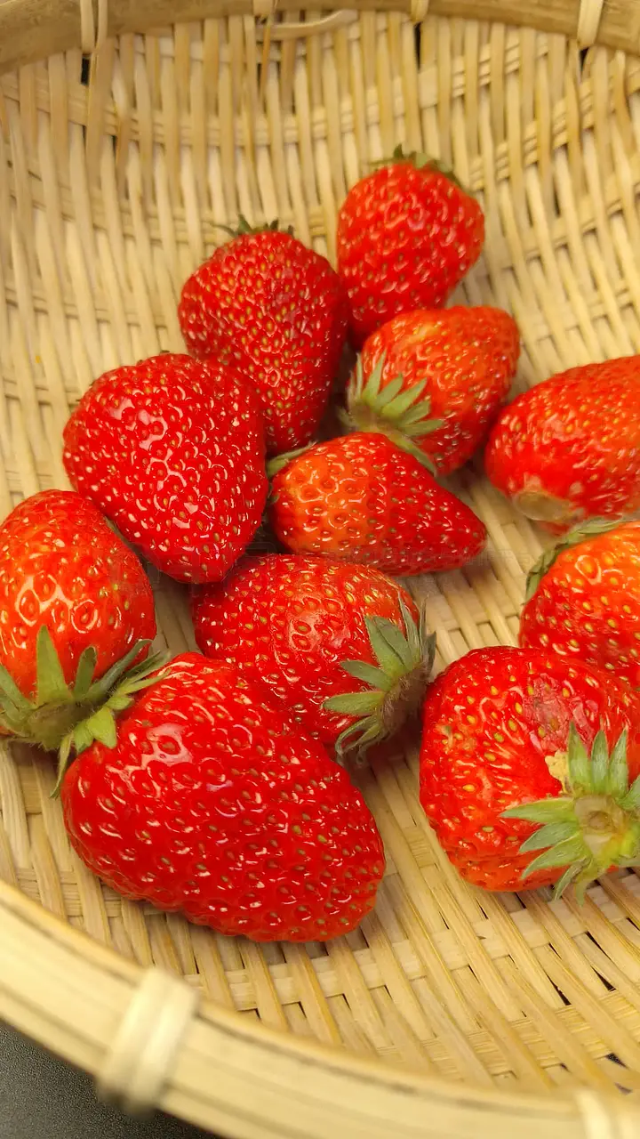 +丹 祖 宗 的 视 频 vk