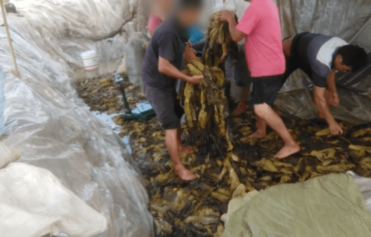 曰本久久免费精品