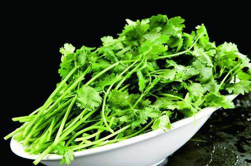 未成年做 心理咨询师或法律专业人士